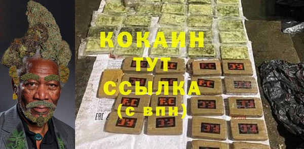 стаф Балахна