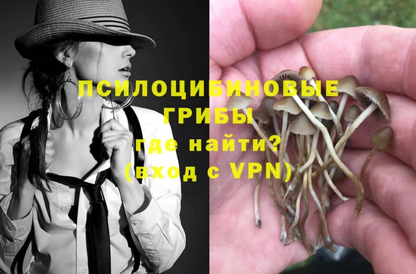 меф Белокуриха
