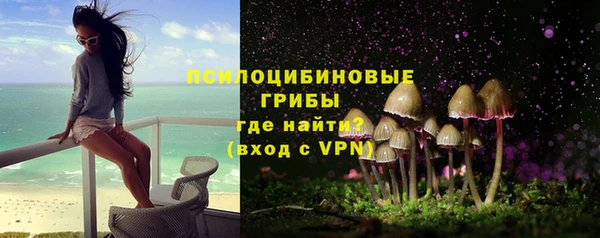 стаф Балахна