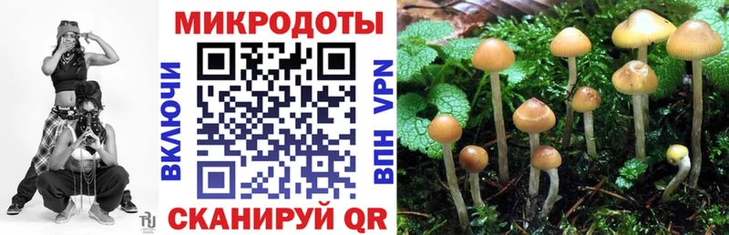 Псилоцибиновые грибы GOLDEN TEACHER  Ленск 